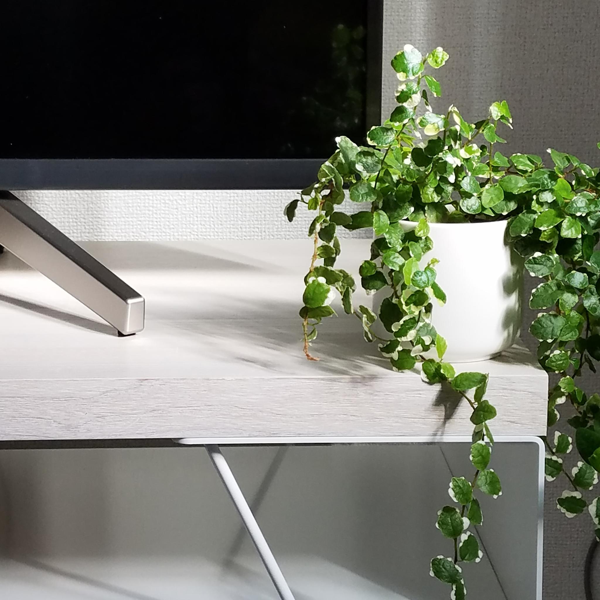 10%OFF  クーポン配布中！